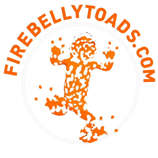 Fire Belly Toads